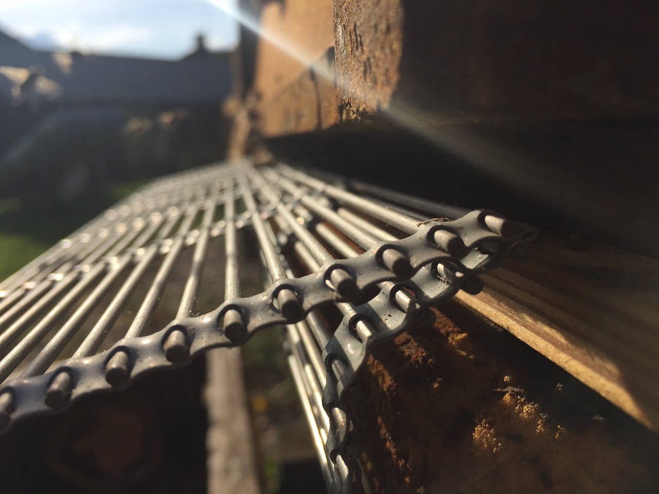 Beekeeping Forward – a new meeting place for knowledge and development
